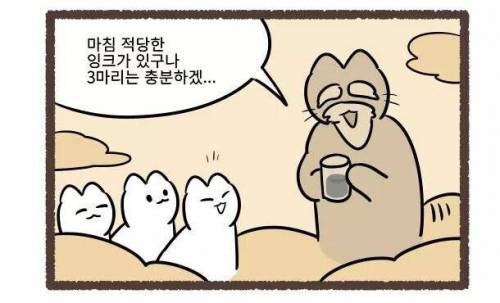 고양이의 털색이 정해지는 방법.jpg