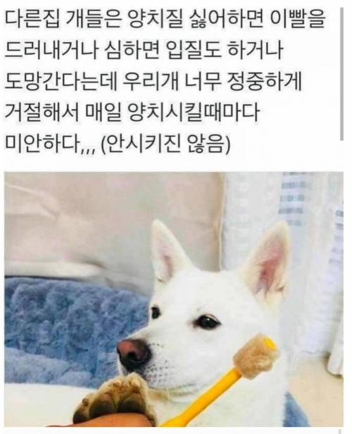 [스압] 소소한 동물썰 모음.jpg