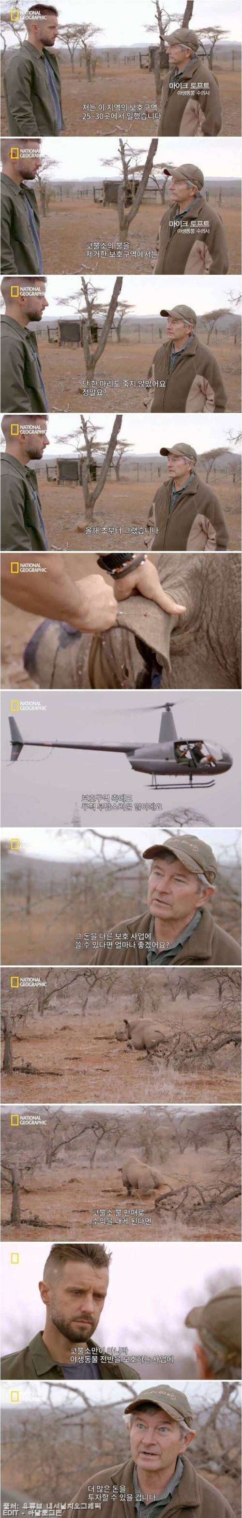 [스압] 코뿔소의 뿔을 자르는 이유 .jpg