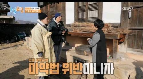 [스압] 대마를 실제로본 딘딘의 반응.jpg