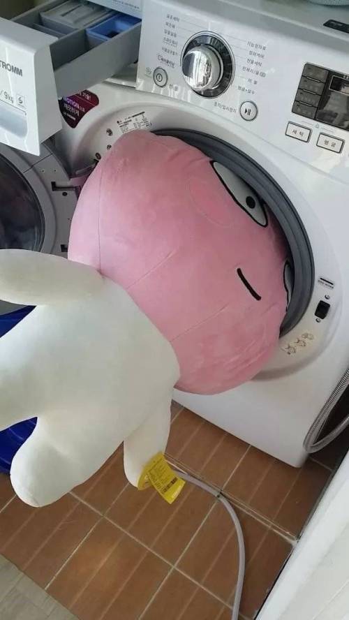 초대형 인형 세탁.jpg