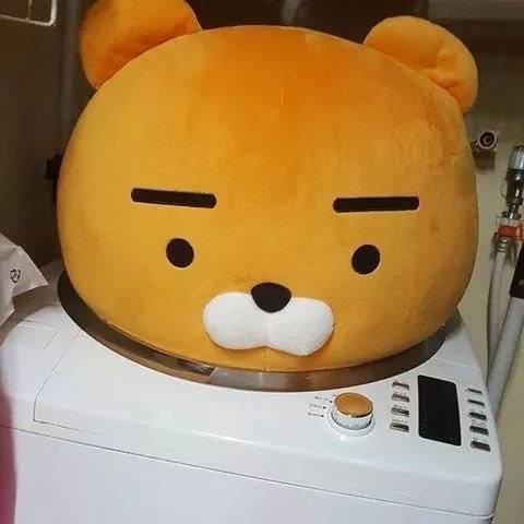 초대형 인형 세탁.jpg