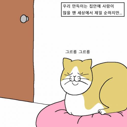 [스압] 새해 해돋이 보러 가려다 외출금지 당하는 만화.jpg