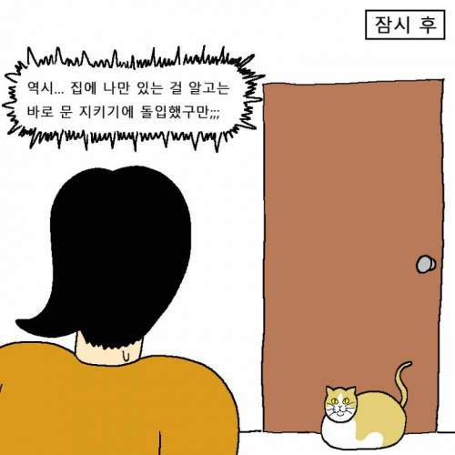 [스압] 새해 해돋이 보러 가려다 외출금지 당하는 만화.jpg