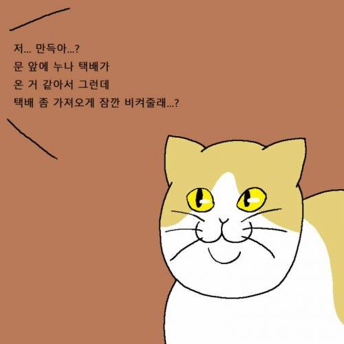 [스압] 새해 해돋이 보러 가려다 외출금지 당하는 만화.jpg