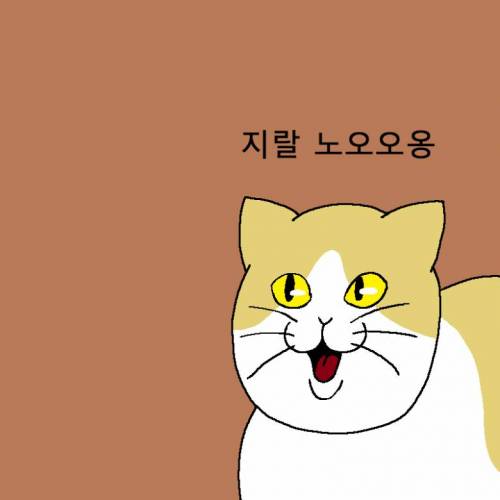 [스압] 새해 해돋이 보러 가려다 외출금지 당하는 만화.jpg