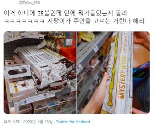 이거 하나에 25불인데 안에 뭐가들었는지 몰라