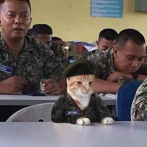 떼껄룩의 비밀.jpg