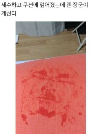 세수하고 쿠션에 엎어졌는데