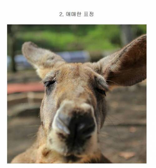 [스압] 사진 못 찍는 애들이 찍은 사진들 특징