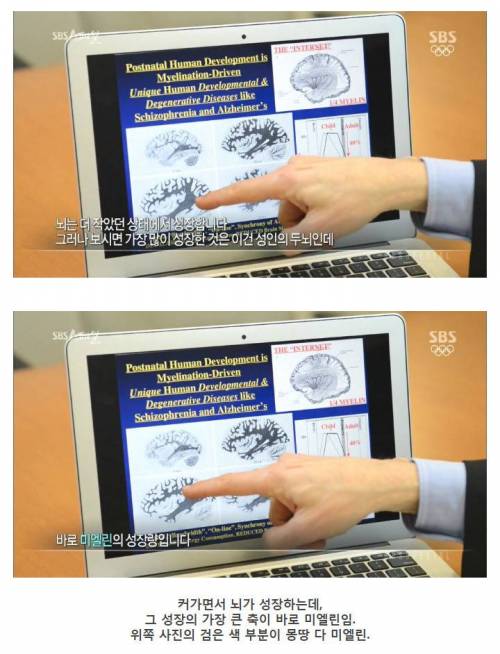 [스압] 나이 먹으면 머리가 안 돌아간다는 말은 핑계.jpg