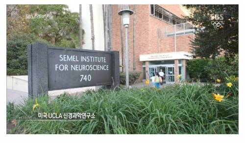[스압] 나이 먹으면 머리가 안 돌아간다는 말은 핑계.jpg