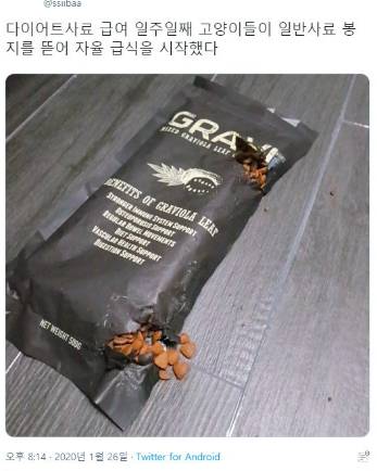 다이어트 사료 일주일째 후기.jpg