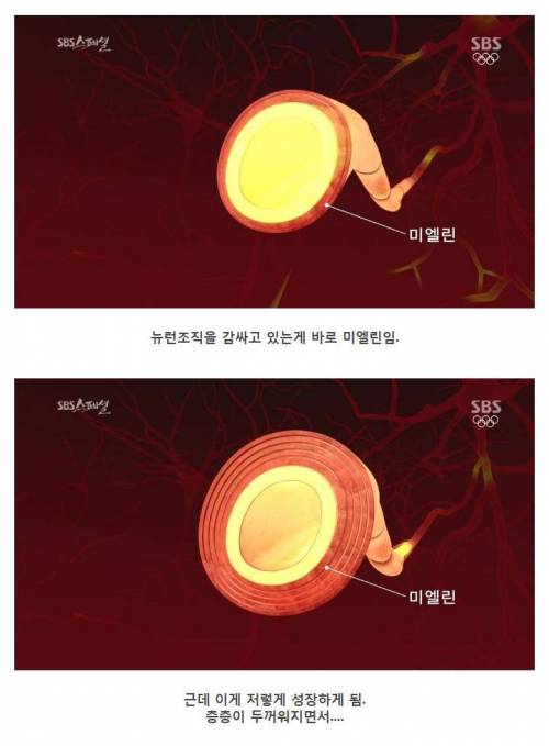 [스압] 나이 먹으면 머리가 안 돌아간다는 말은 핑계.jpg