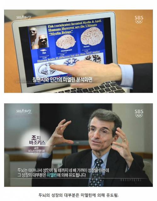 [스압] 나이 먹으면 머리가 안 돌아간다는 말은 핑계.jpg