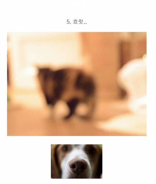 [스압] 사진 못 찍는 애들이 찍은 사진들 특징