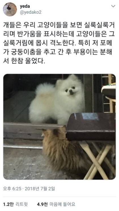 동물들의 언어차이.jpg