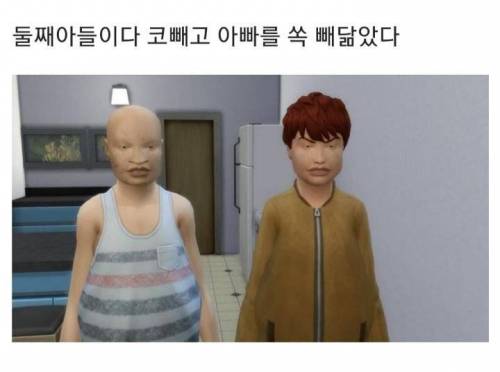 아빠가 못생겼을 때 자식 얼굴 유전 실험