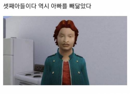 아빠가 못생겼을 때 자식 얼굴 유전 실험