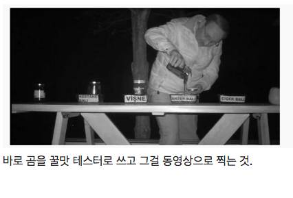 양봉장 꿀 훔쳐먹는 곰 대처법.jpg
