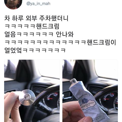[스압] 올겨울이 정말 안추운거임.....