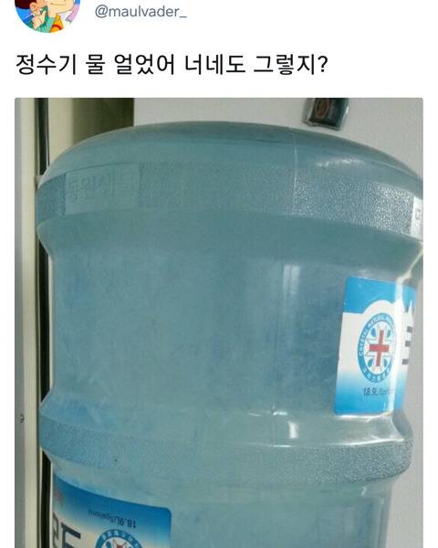 [스압] 올겨울이 정말 안추운거임.....