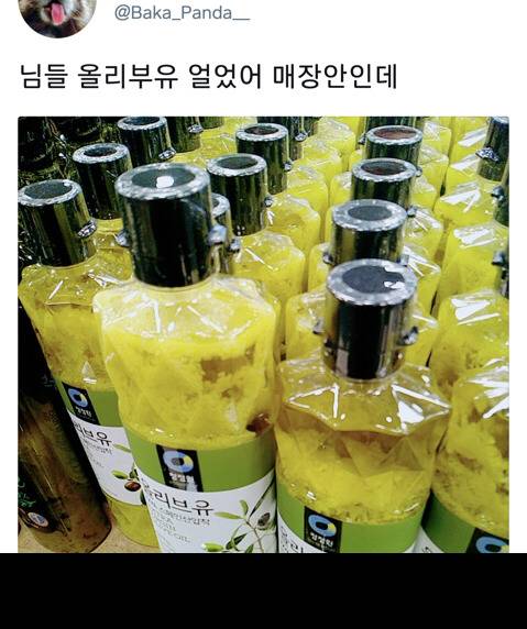 [스압] 올겨울이 정말 안추운거임.....