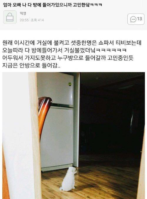 고민에 빠진 댕댕이.jpg