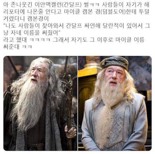 간달프와 덤블도어.jpg