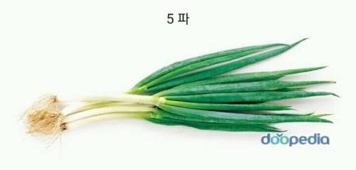 라면에 이것만은 정말 넣기 싫은것은?