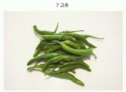 라면에 이것만은 정말 넣기 싫은것은?