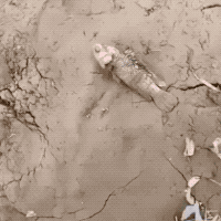 생명력 강한 물고기.gif