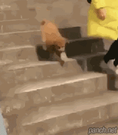 계단 내려가기 마스터.gif