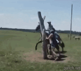 카우보이 고인물.gif