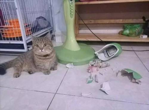 부부가 싸운 이유.jpg