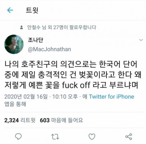 호주인이 들은 제일 충격적인 한국어