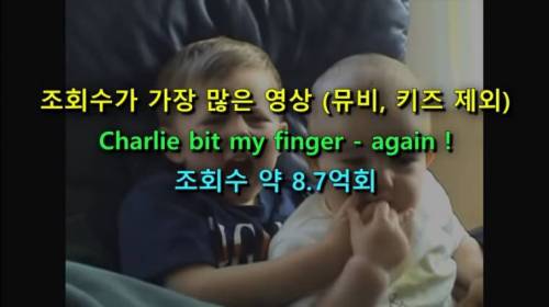 [스압] 유튜브 세계최초 기록들