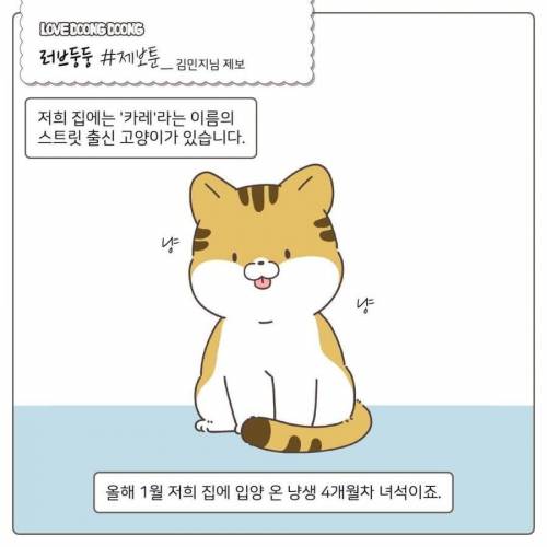 길냥이 입양 1일차.jpg