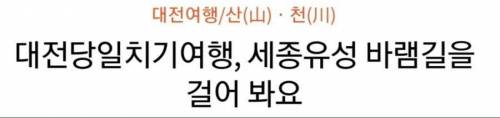 대전 산책길에 있는 작은 묘비