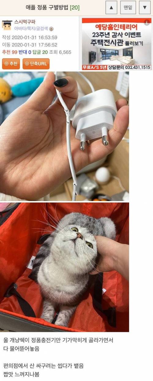 애플 정품 구별 방법