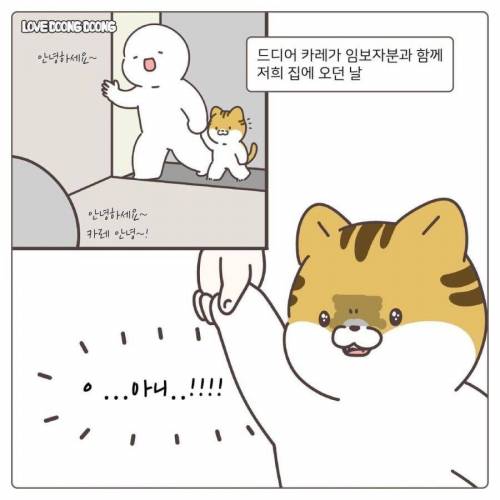길냥이 입양 1일차.jpg