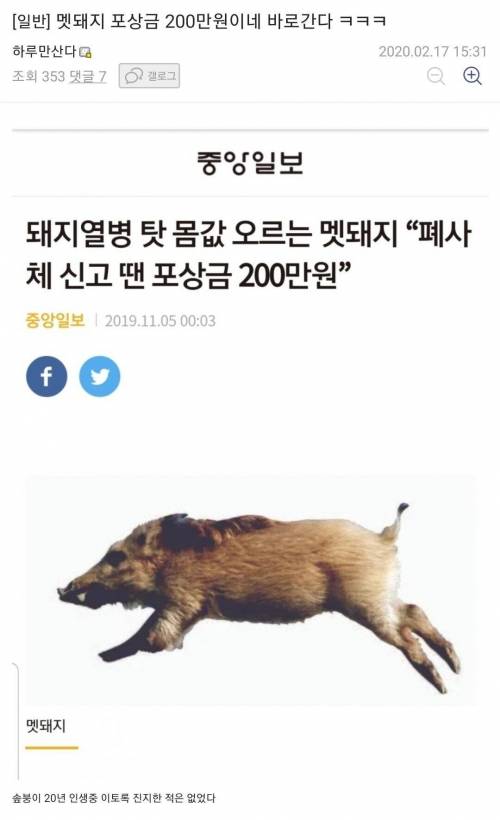 [스압] 멧돼지 잡으로 산으로 간 디시인.jpg