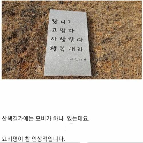 대전 산책길에 있는 작은 묘비