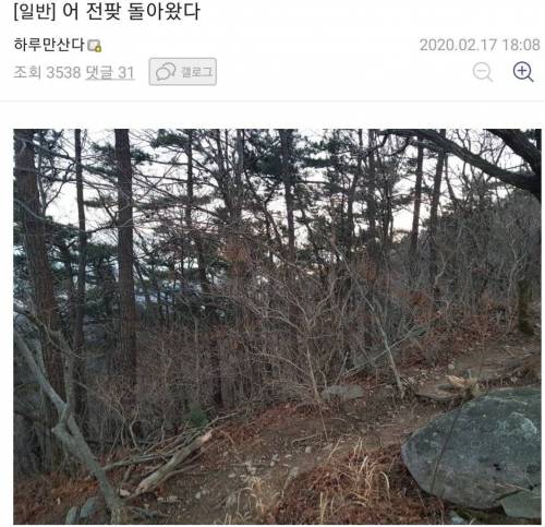 [스압] 멧돼지 잡으로 산으로 간 디시인.jpg