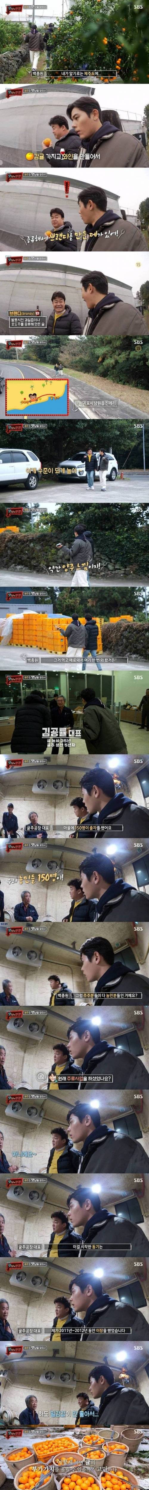 [스압] 귤로 만든 브랜디