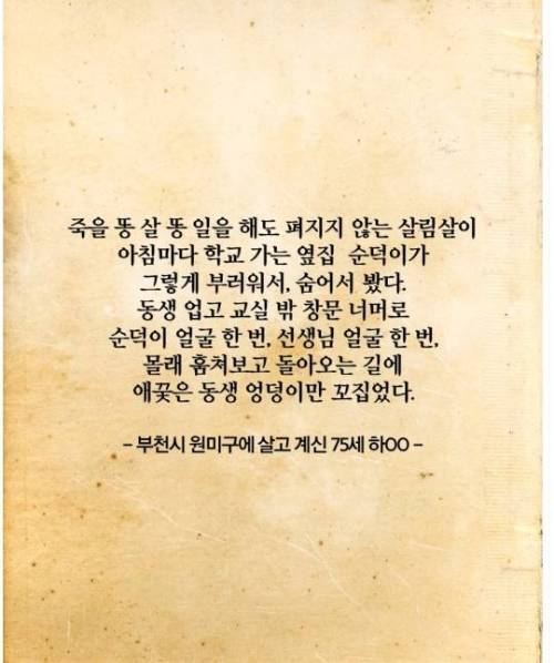 할아버지 할머니가 지하철 버스 방향 물어보는 이유