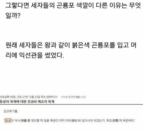 [스압] 조선시대 세자들의 곤룡포가 남색(흑색)인 이유