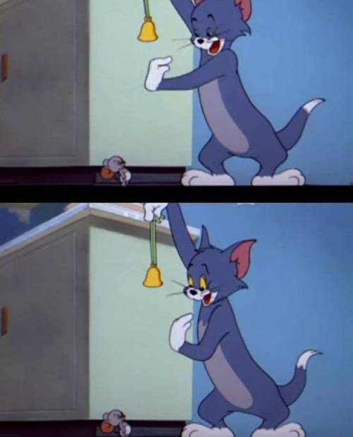 고양이 목에 방울다는 법.jpg