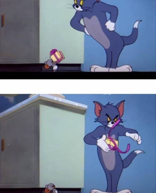 고양이 목에 방울다는 법.jpg