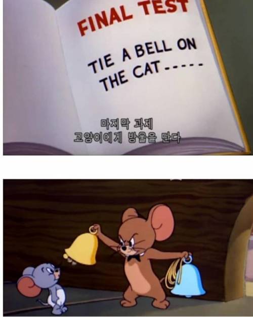 고양이 목에 방울다는 법.jpg